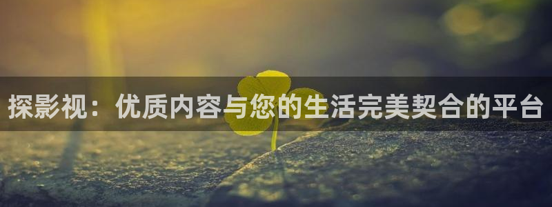 探影视：优质内容与您的生活完美契合的平台