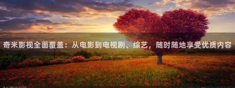 奇米影视全面覆盖：从电影到电视剧、综艺，随时随地享受优质内容