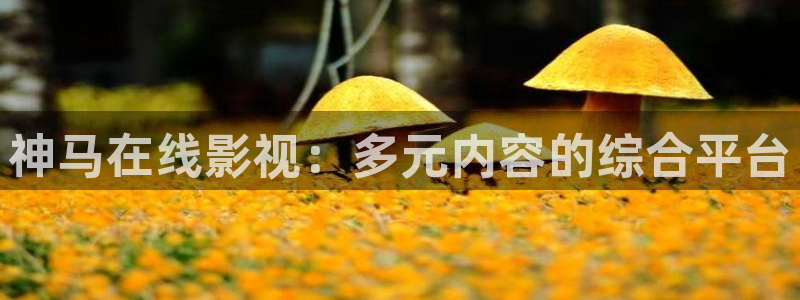 神马在线影视：多元内容的综合平台