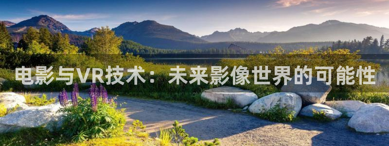 电影与VR技术：未来影像世界的可能性