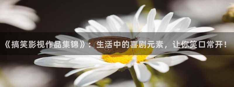 《搞笑影视作品集锦》：生活中的喜剧元素，让你笑口常开！