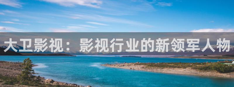 大卫影视：影视行业的新领军人物