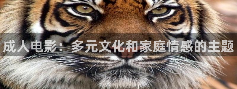 成人电影：多元文化和家庭情感的主题